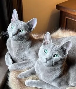 blue